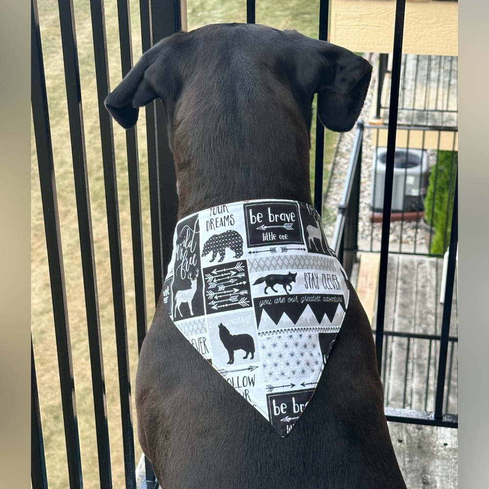 XXL DOG BANDANA